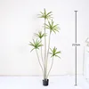 Miniature Agave Potted Plant 210cm