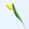 Giallo
