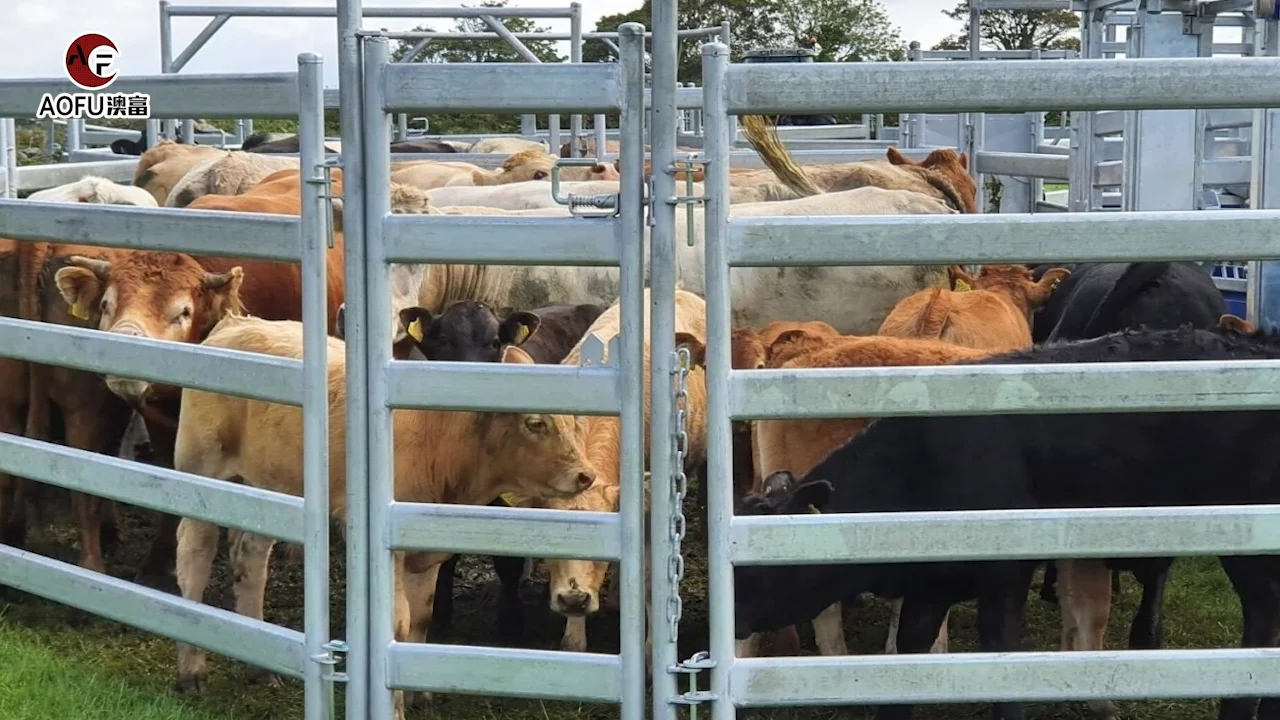 Good Quality Electric Fence Livestock Field Horse Network 6ft Tall Pvc