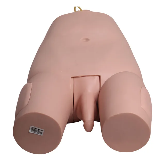 Medical Science Educational Equipment Male Bladder Puncture Simulator GD/H29E General Doctor