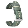 Green beige-silver buckle