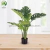 monsteria- 9 foglie- 90 cm