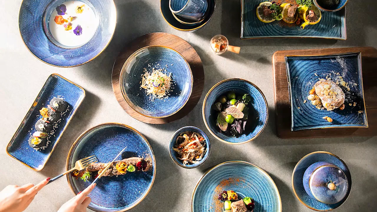 BOL,Bleu--Bol En Céramique Avec Couvercle Porcelaine Bol à Ragoût, Bol à Pâtisserie, Bol à