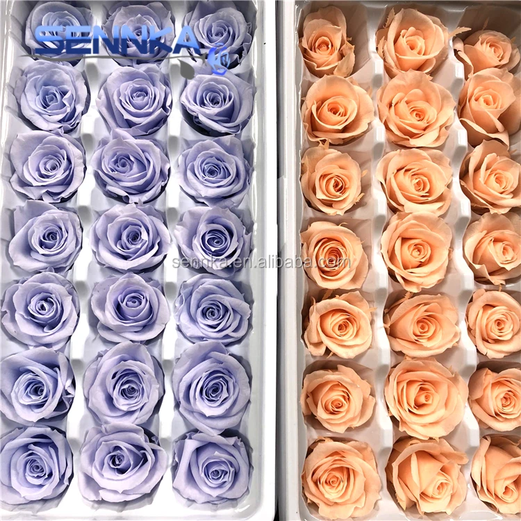 Оптовая продажа, свежий натуральный цветок лучшего качества для украшения