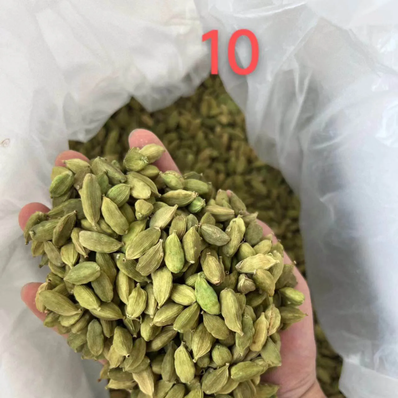 9mm Green Cardamon Spices Single Herbs Biggest Green Cardamon For Cooking Milky Tea