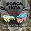 pequeño arcoiris