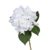 White 9