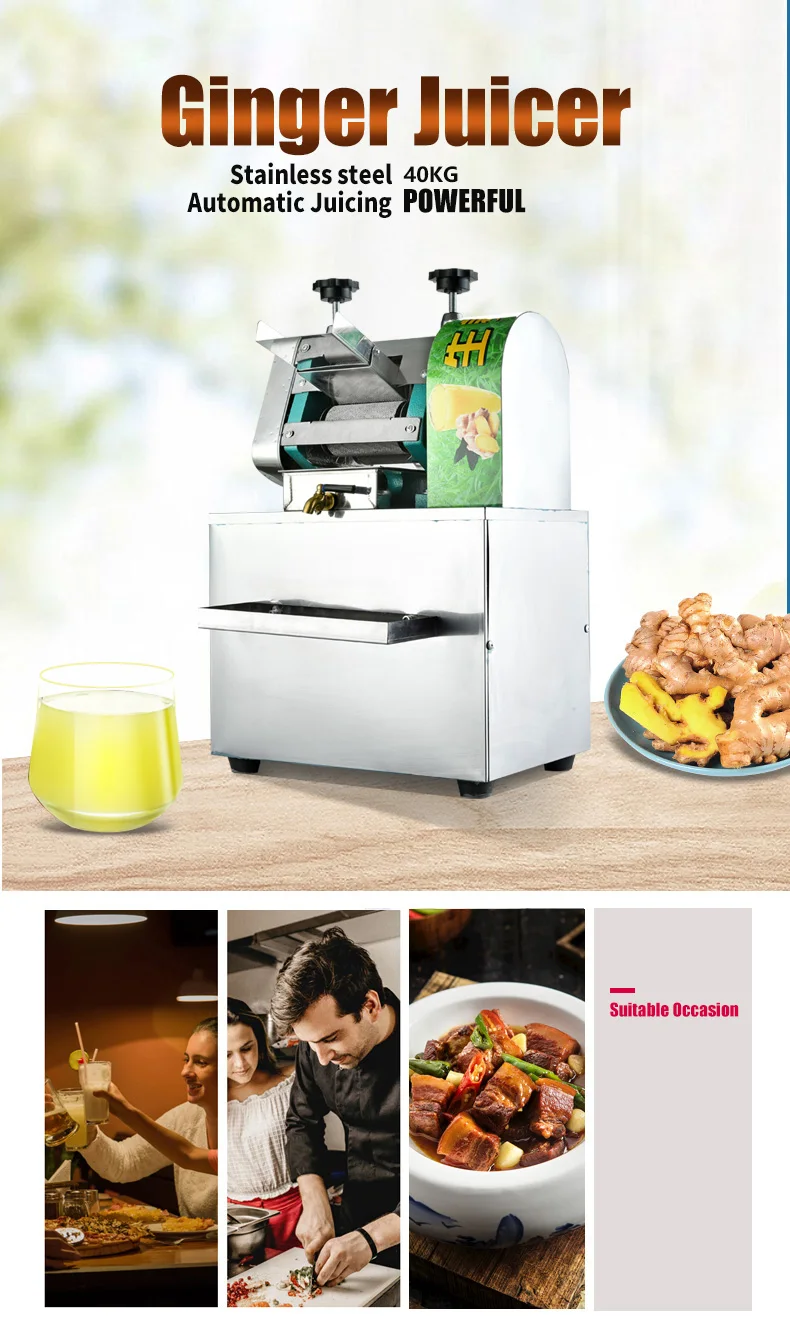 Stainless Steel Industrial Commercial Ginger Press Ginger Juice