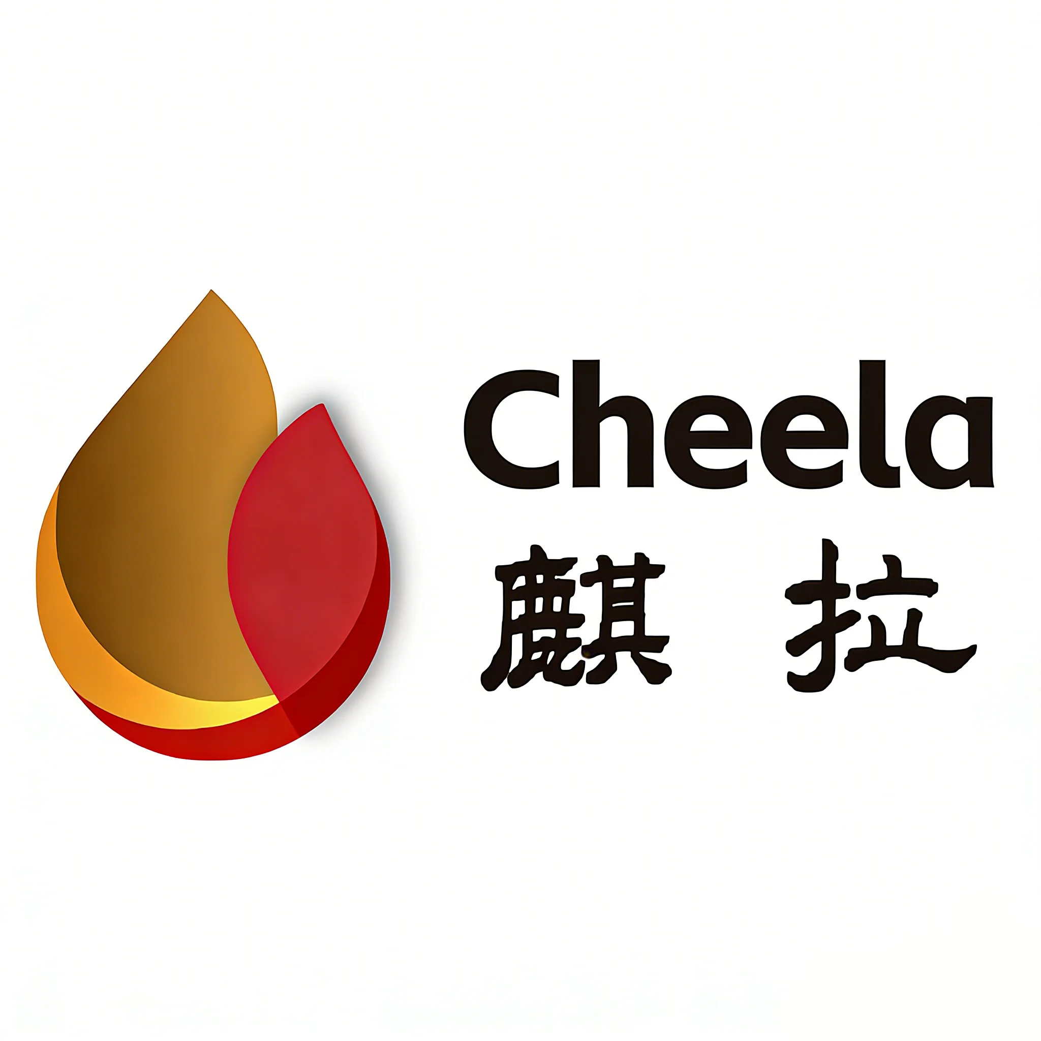 Company Overview - Shenzhen Cheela Technologies Co., Ltd.