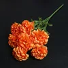 Arancione