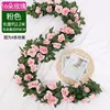 16 roses, pink 1 strip
