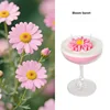Bloom Dolce
