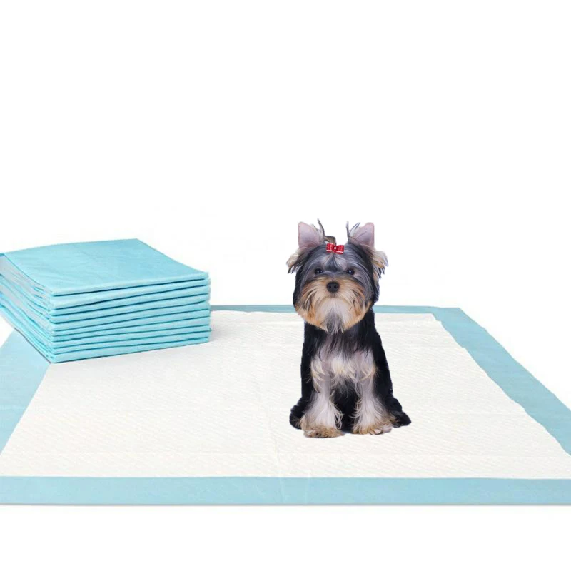 Are Pee Pads Safe For Dogs