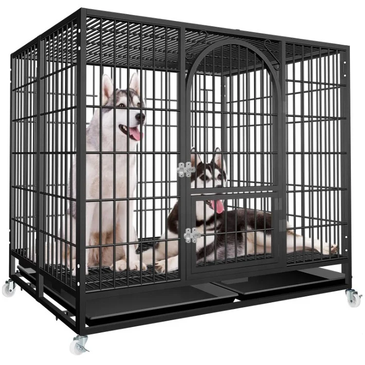 wholesale pet products