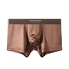 marrone velluto