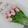 #5 rosa 5