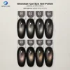 Obsidian Cat Eye Gel Polish (HEMA & TPO FREE)