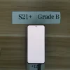 White--Original--GradeB