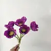 Púrpura