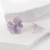 Viola