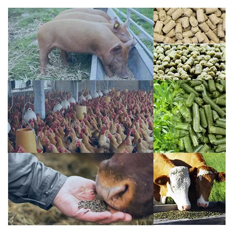 Livestock Feed Machine Cattle and Sheep Straw Pelletizer Factory Direct Sales Featuring Engine and PLC Core Components