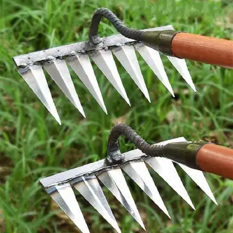 968813_4