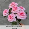 9 head diamond rose gradient powder