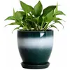 Green-white