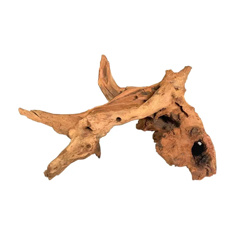 fish aquarium decoration driftwood malaysia mangrove wood