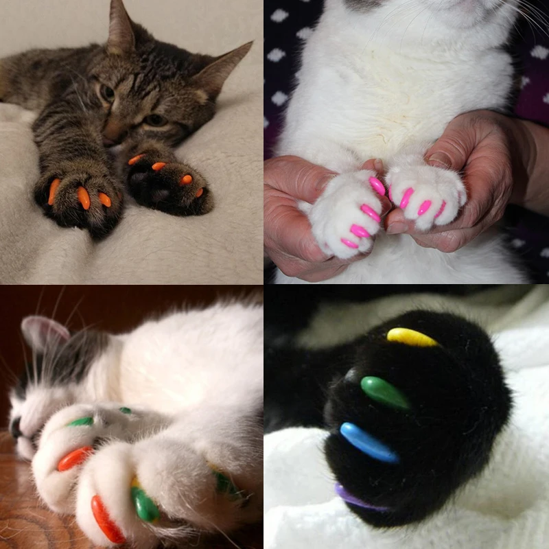 New FASHION colorful Cat Nail cover soft cat Claw Soft Paws 20 PCS/lot with free Adhesive Glue Size XS S M LGift for pet