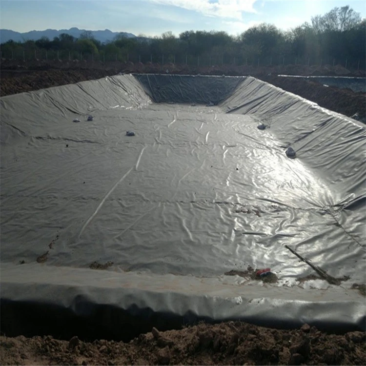 Reinforced Heavy Pond Liner HDPE Geomembrane for Fish Farming in Thailand
