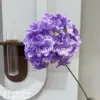 Gros hortensia raisin violet