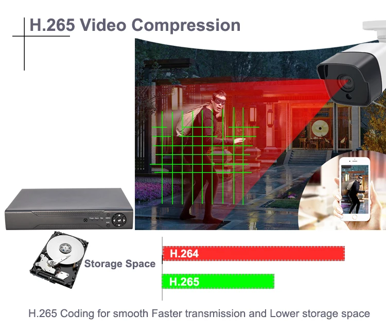 H.265 Storage DVR