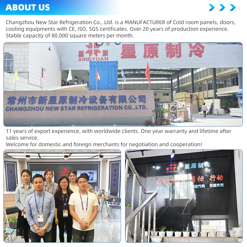 800 Tons Factory Customized Large Cold Storage Room Cooling Room for Food and Vegetable