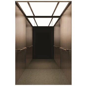 Modern Stylelifts Elevator Energy-Saving Eco-Friendly Passenger Elevators For Houses