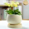 Small lemon quicksand with tray