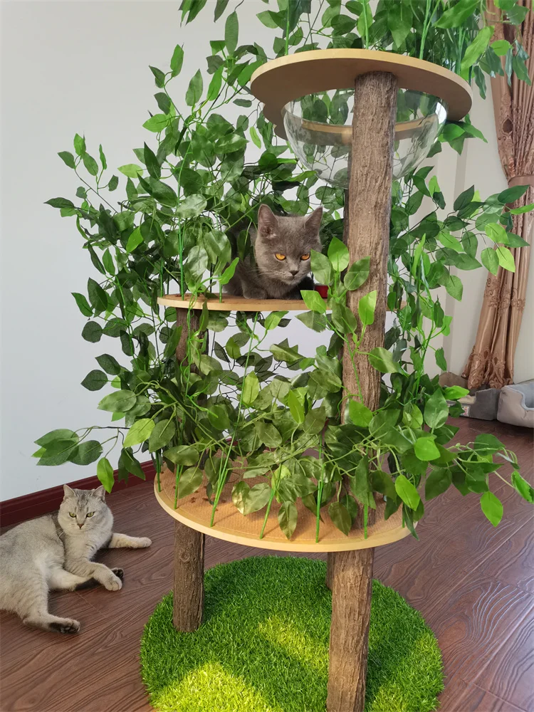 High Quality Large Cat Jumping Platform Cat Tree With Artificial Leaves Transparent Hemispheric Bowl