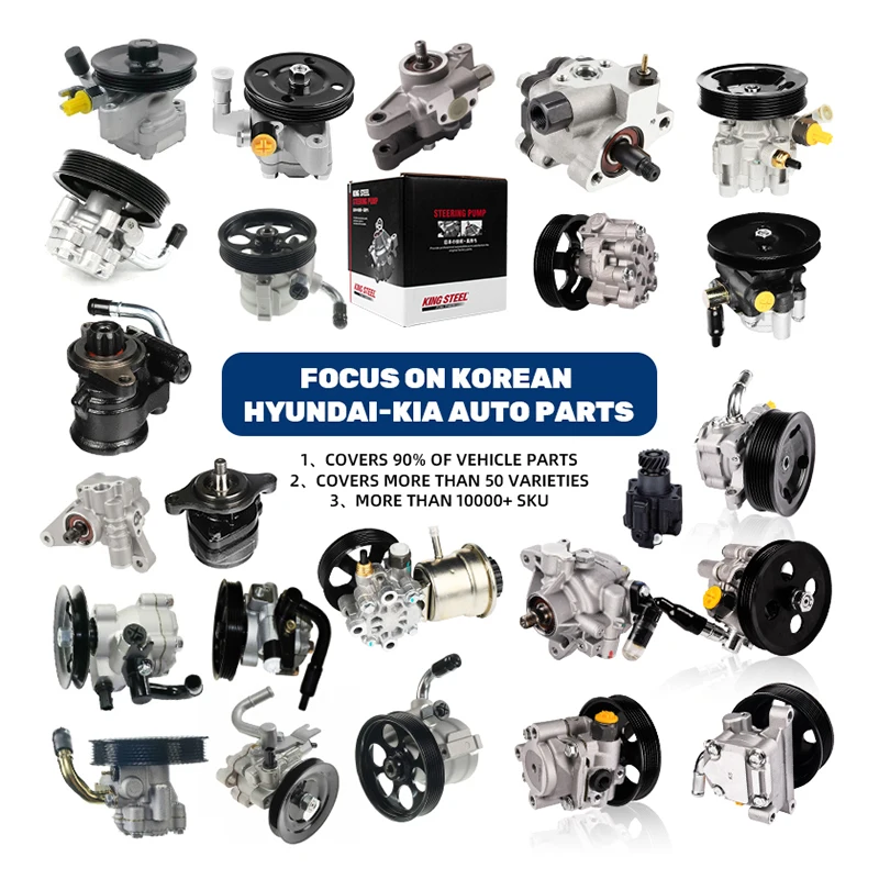 Hot Auto Car Hydraulic Steering Pump Power Steering Pump For Kia