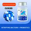 Nitrifying Bacteria + Probiotics Capsules 50 capsules