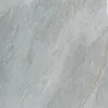 YL98810