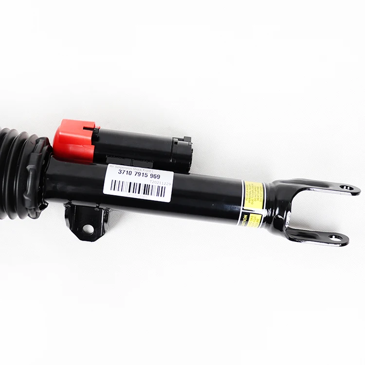 37107915969 37107915970 Air Ride Suspension System for BMW 7