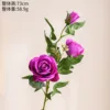 Three-headed rose purple