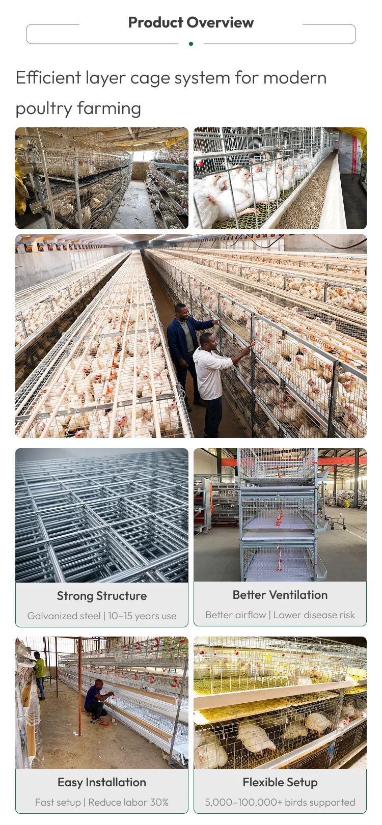 H-Frame Automatic Broiler Cage