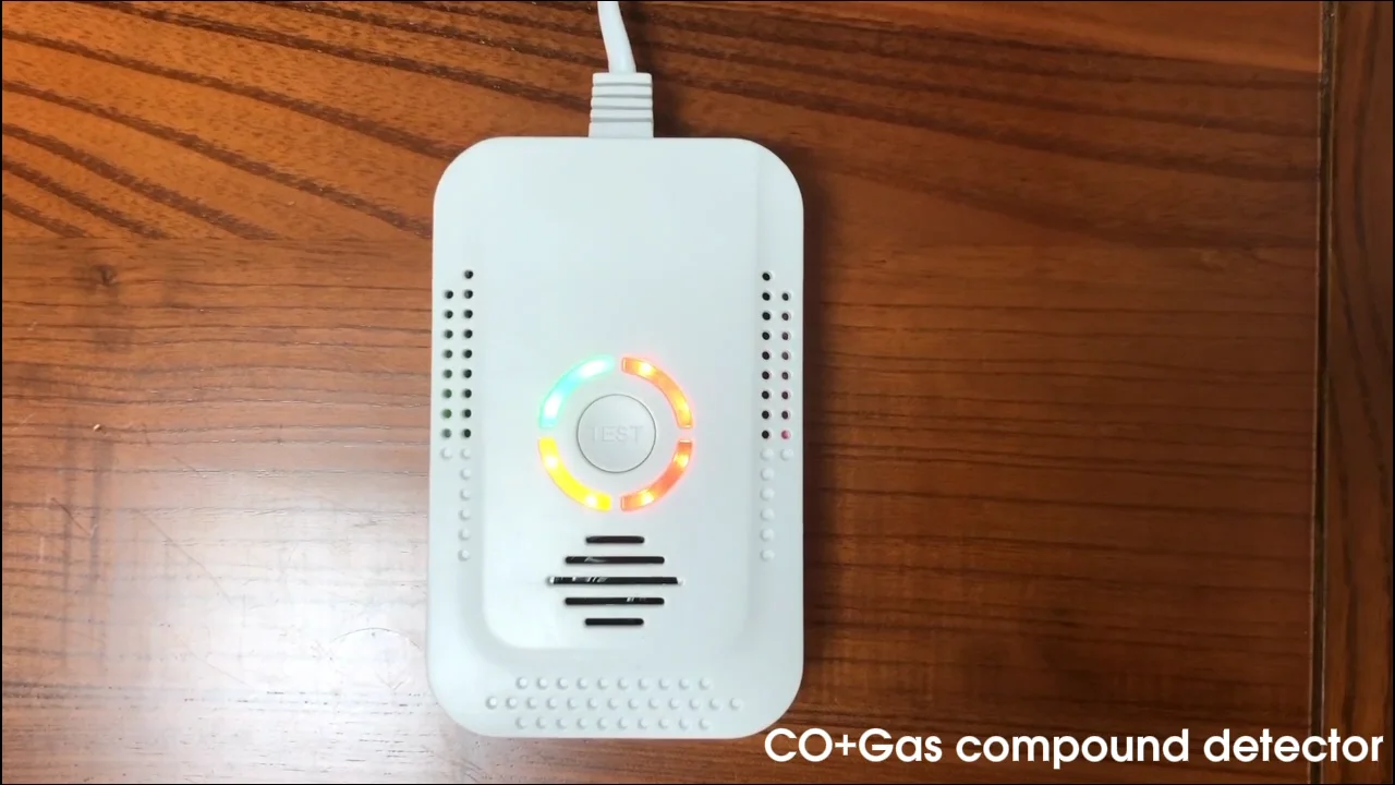 Wall Mounted Cooking Gas Leakage Detector Lpg Natural Gas Leak Detector