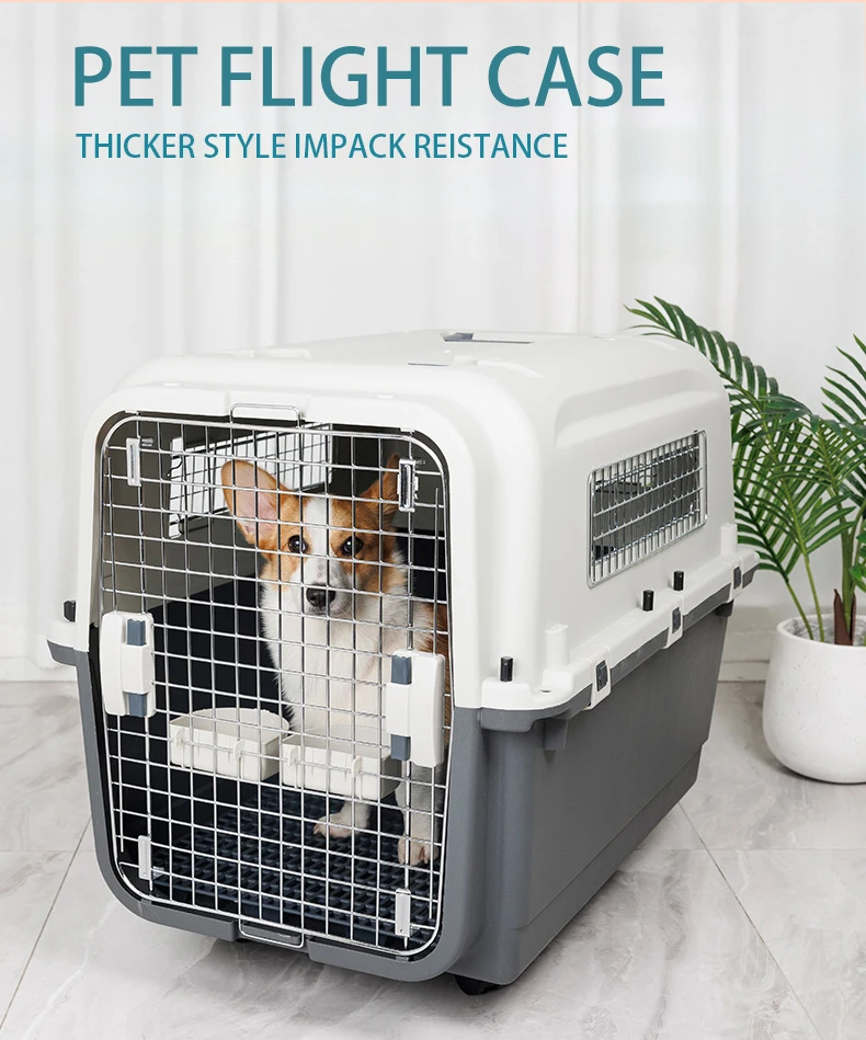 Kiti Go Wholesale Pp Plastic Dog Airplane Carrier Breathable