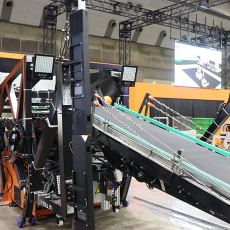 China Custom High Quality Container Conveyor Loading & Unloading Robot