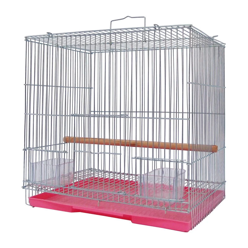 parrot cages online