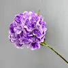 Purple 182 film hydrangea