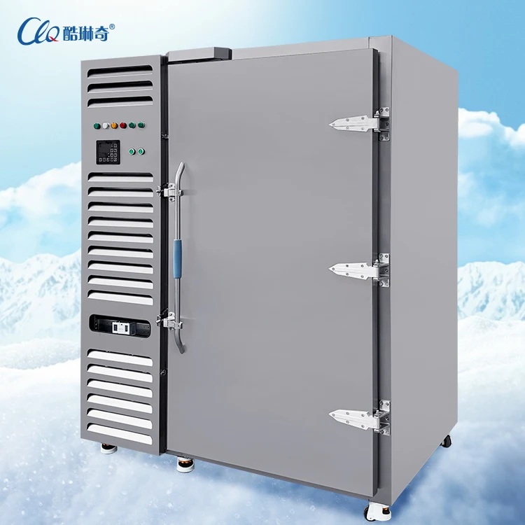 Commercial Shock Freezing Freezer, 3P 380V50HZ, 12KW - detail 12