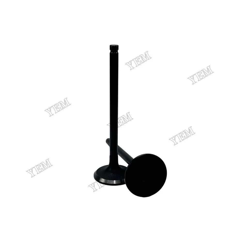 Intake Valve Fit for Mitsubishi 4D56 Engine 3